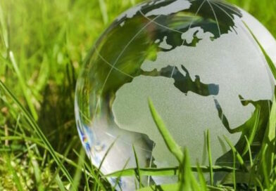 Мир можно воспринимать по-разному