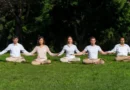 Как медитация перестраивает мозг